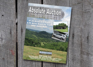 auctionflyer3